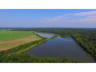 Farmland in Pulaski County, Arkansas - ABSOLUTE ARKANSAS REAL ESTATE AUCTION - 1,200+/- ACRES OFFERED IN 6 TRACTS IN PULASKI COUNTY, ARKANSAS